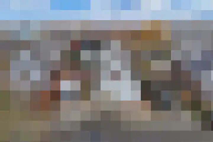 Jamaicastraat 6 Almere thumbnail 46