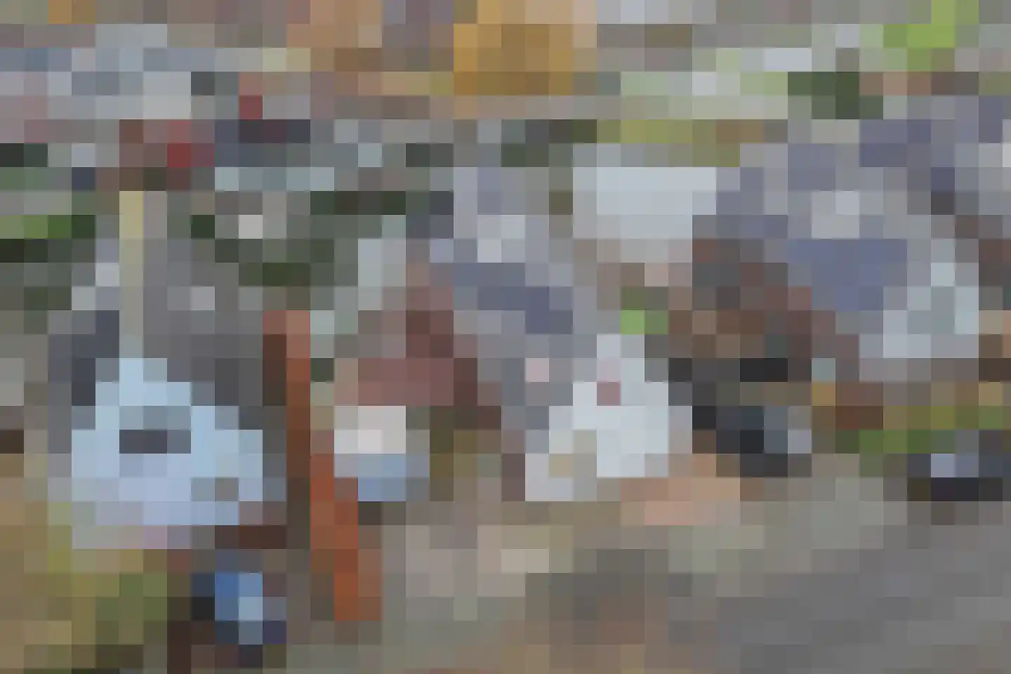 Jamaicastraat 6 Almere thumbnail 47