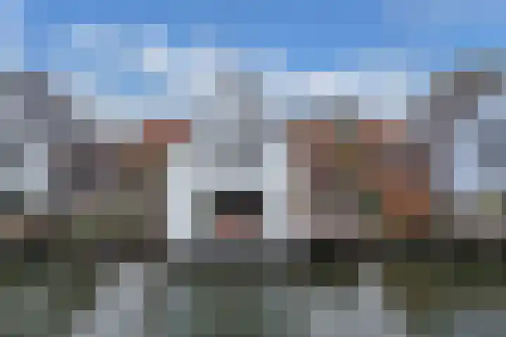 Jamaicastraat 6 Almere thumbnail 49