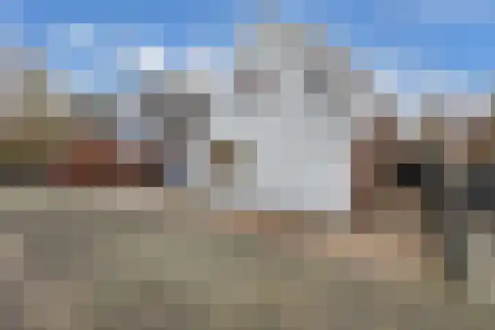 Jamaicastraat 6 Almere thumbnail 6