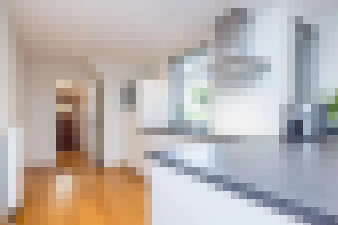 Jamarstraat 5 Simpelveld thumbnail 15