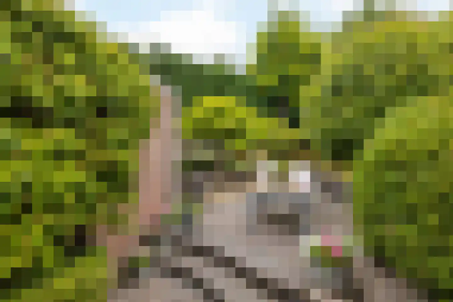 Jamarstraat 5 Simpelveld thumbnail 28