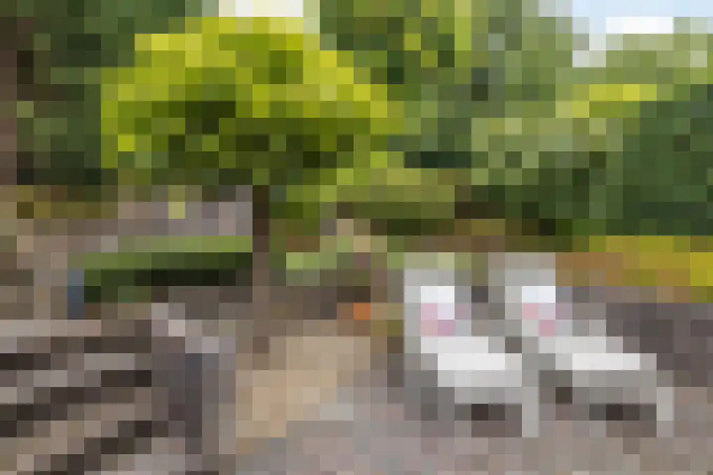 Jamarstraat 5 Simpelveld thumbnail 29