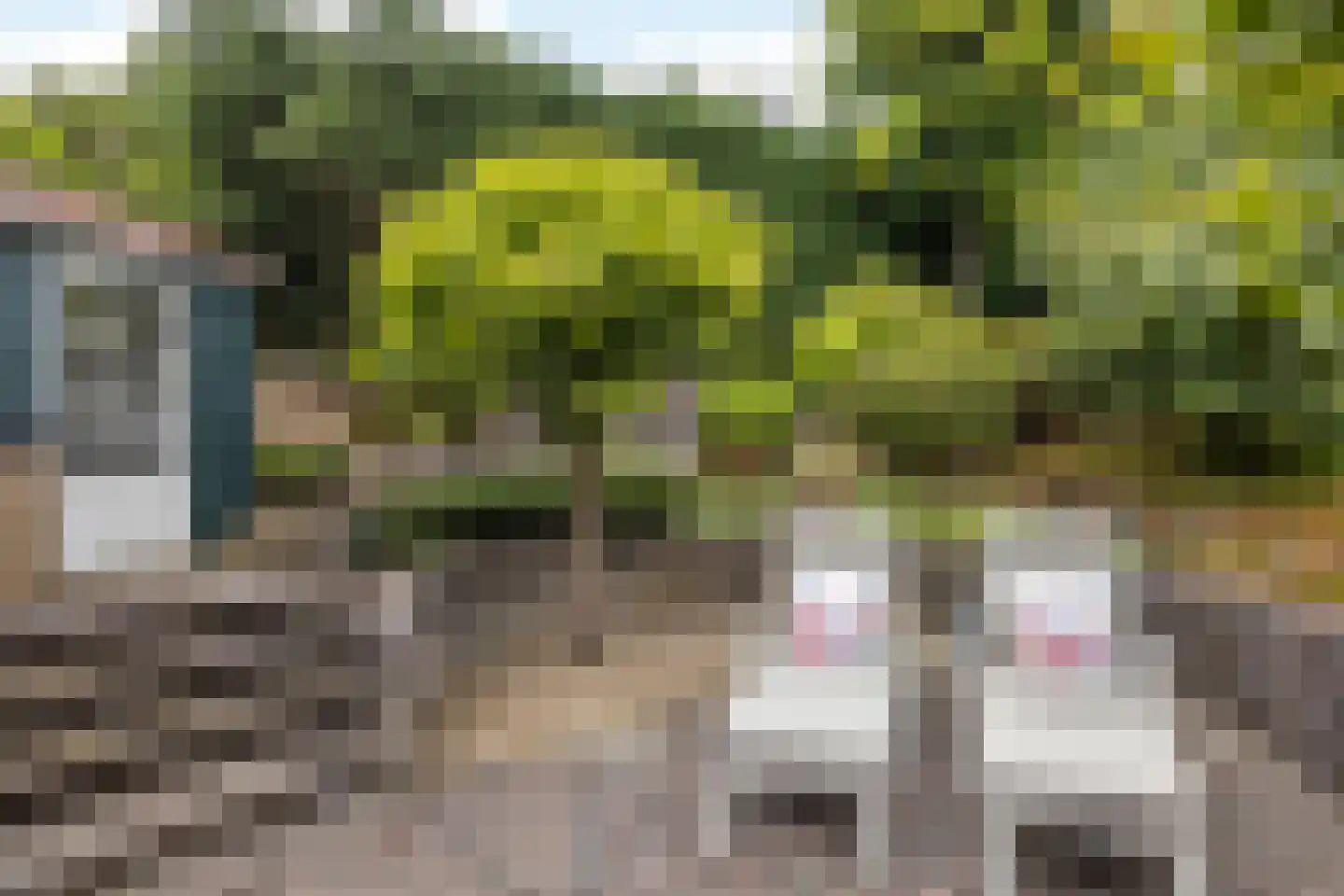 Jamarstraat 5 Simpelveld thumbnail 30