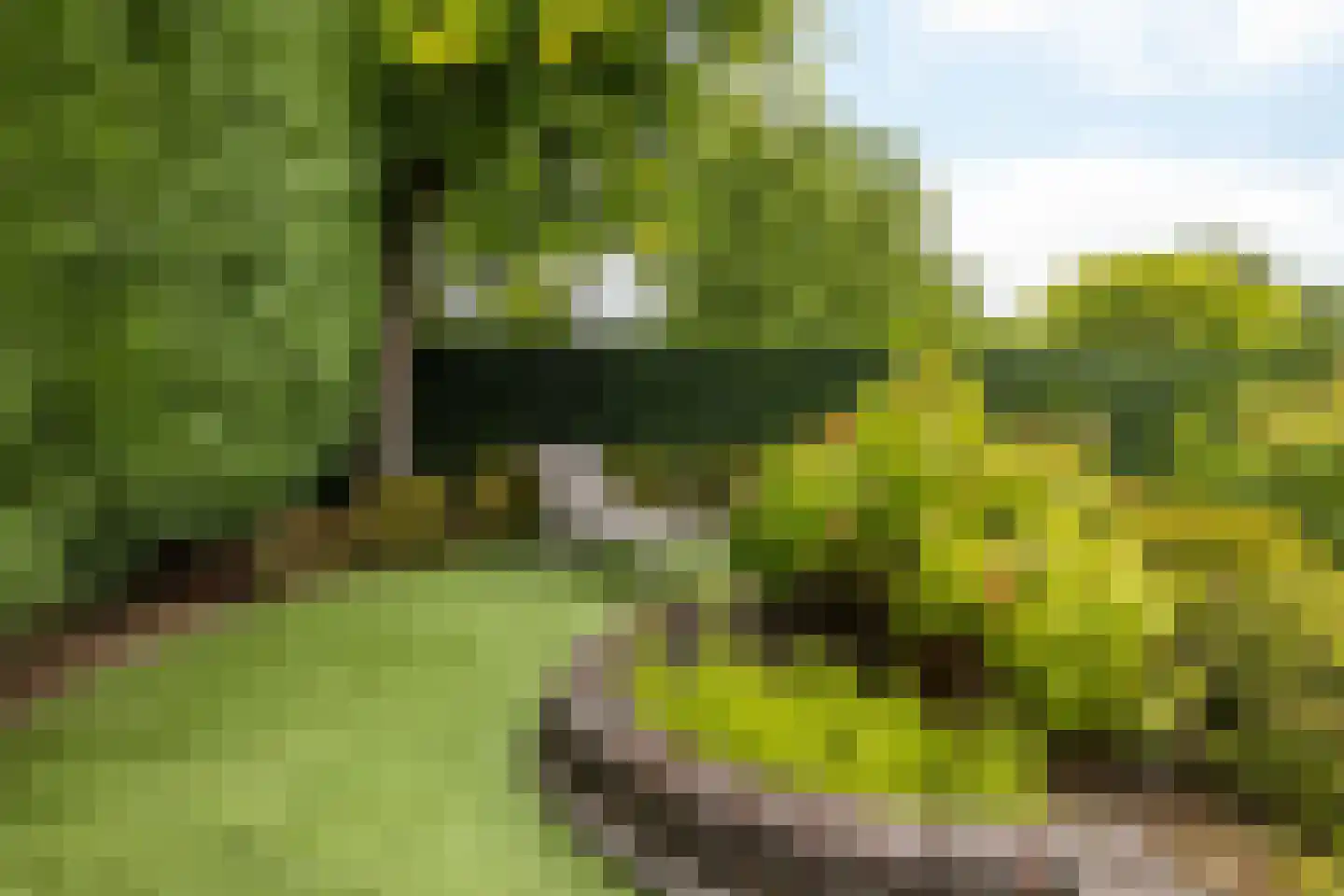 Jamarstraat 5 Simpelveld thumbnail 31