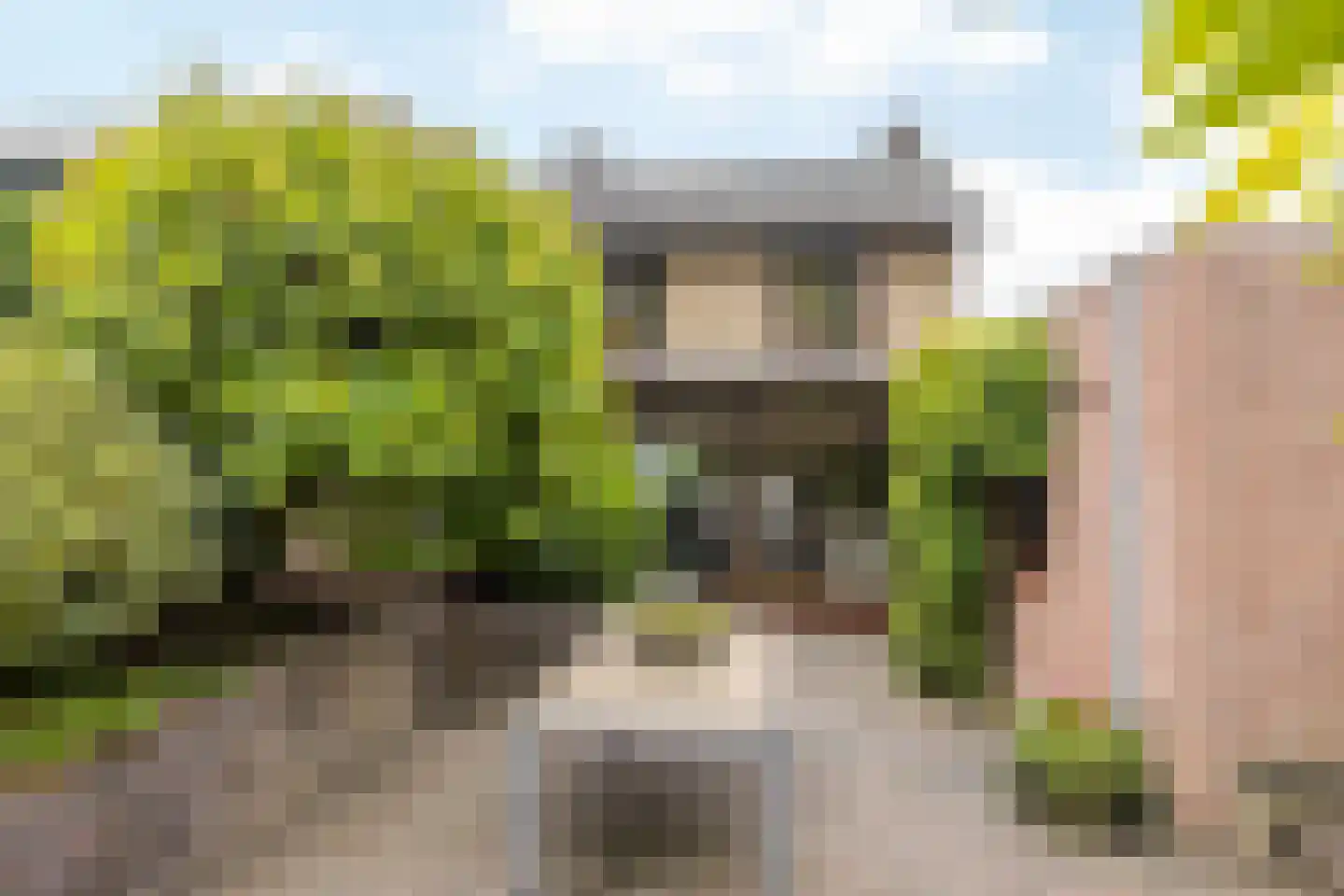 Jamarstraat 5 Simpelveld thumbnail 33