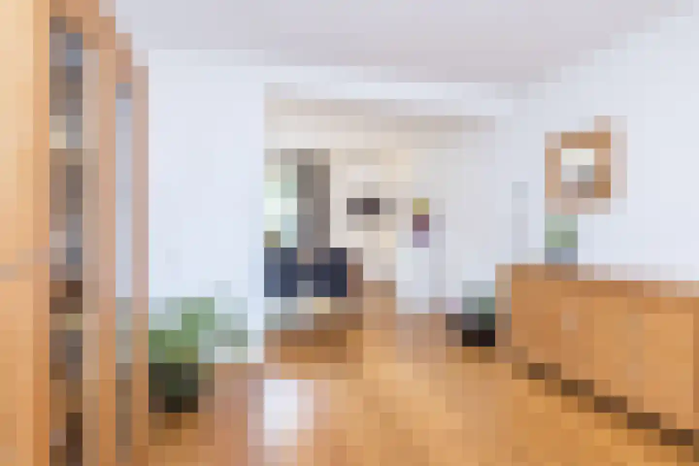 Jamarstraat 5 Simpelveld thumbnail 6