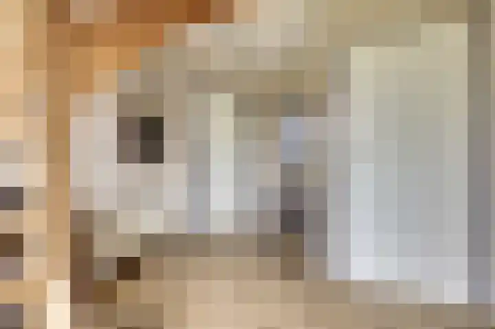 Jamboreelaan 13 Biddinghuizen thumbnail 10