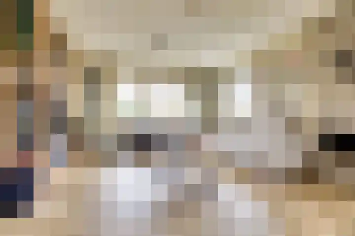 Jamboreelaan 13 Biddinghuizen thumbnail 12
