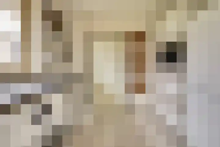 Jamboreelaan 13 Biddinghuizen thumbnail 20