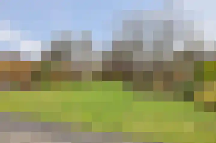 Jamboreelaan 13 Biddinghuizen thumbnail 30