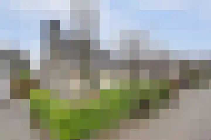 Jamboreelaan 13 Biddinghuizen thumbnail 35