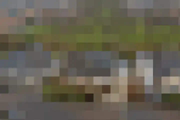 Jamboreelaan 13 Biddinghuizen thumbnail 39