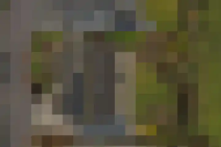 Jamboreelaan 13 Biddinghuizen thumbnail 40