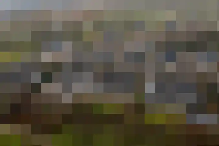Jamboreelaan 13 Biddinghuizen thumbnail 41