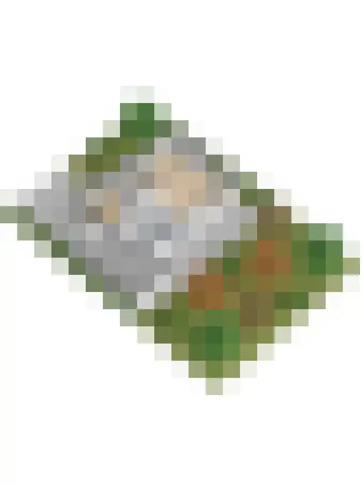 Jamboreelaan 13 Biddinghuizen thumbnail 49