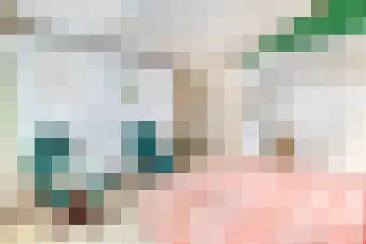 Jamboreelaan 14 Biddinghuizen thumbnail 27