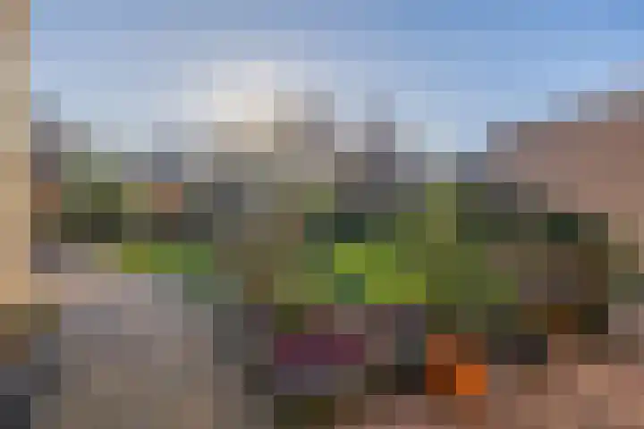 Jamboreelaan 14 Biddinghuizen thumbnail 33
