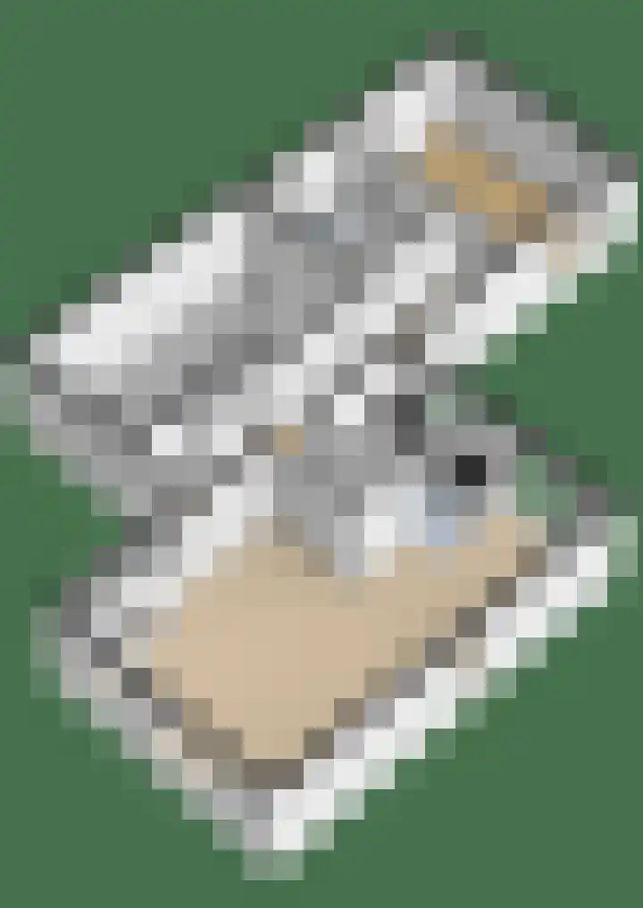 Jamboreelaan 14 Biddinghuizen thumbnail 49