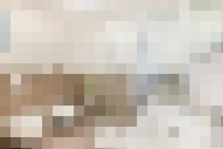 Jamboreelaan 14 Biddinghuizen thumbnail 5