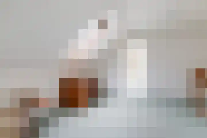 Jamboreelaan 15 Biddinghuizen thumbnail 24