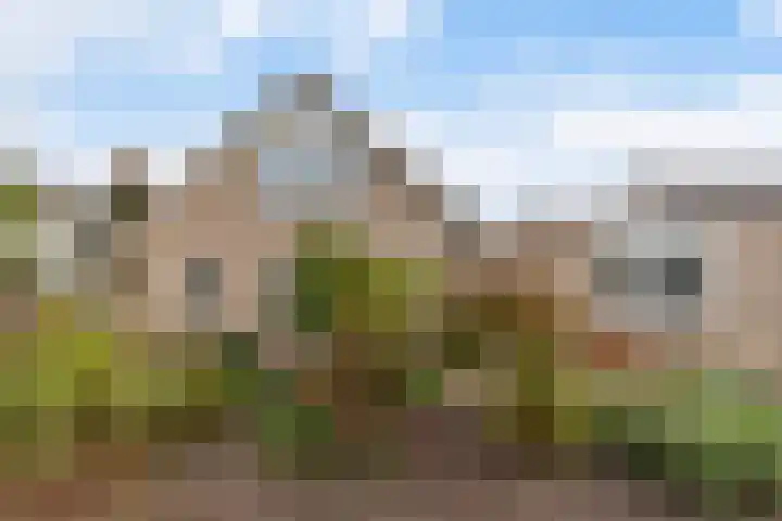 Jamboreelaan 15 Biddinghuizen thumbnail 33