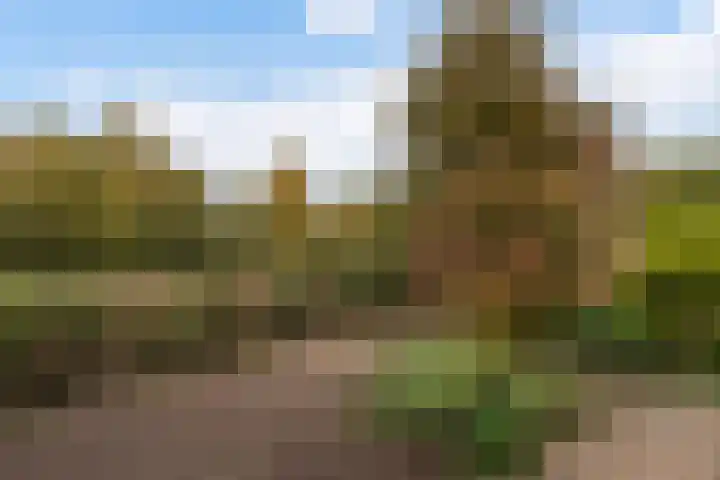 Jamboreelaan 15 Biddinghuizen thumbnail 35