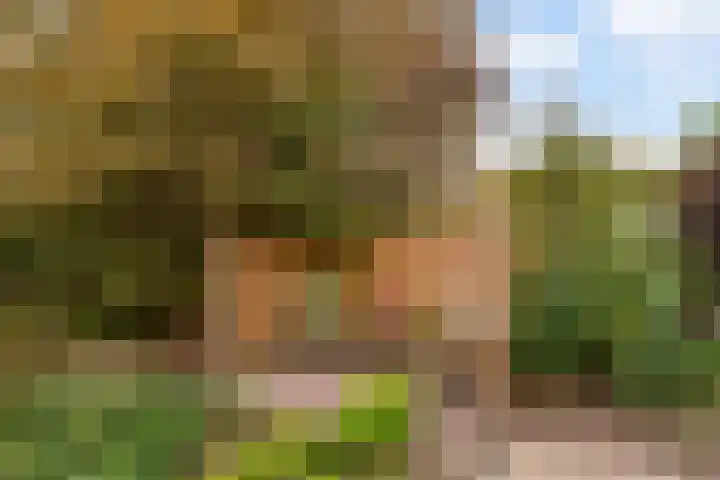 Jamboreelaan 15 Biddinghuizen thumbnail 37