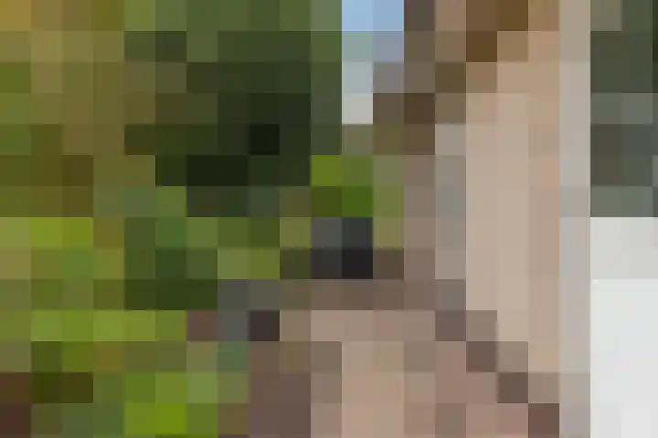 Jamboreelaan 15 Biddinghuizen thumbnail 38