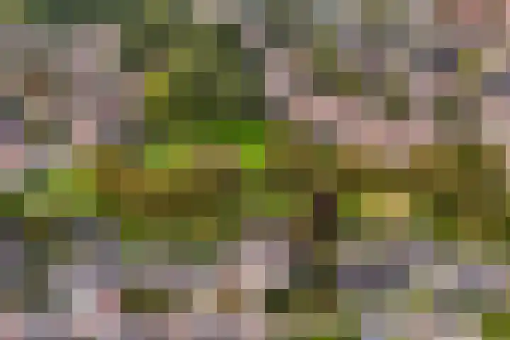 Jamboreelaan 15 Biddinghuizen thumbnail 39