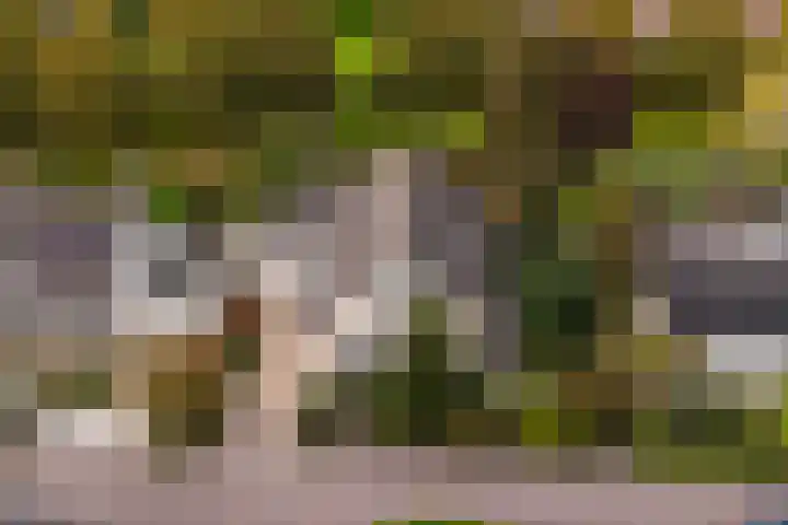 Jamboreelaan 15 Biddinghuizen thumbnail 40