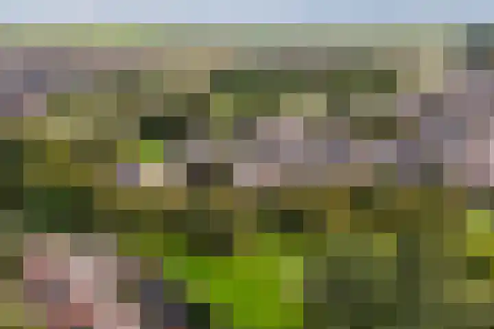Jamboreelaan 15 Biddinghuizen thumbnail 41