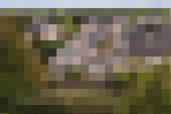Jamboreelaan 15 Biddinghuizen thumbnail 42