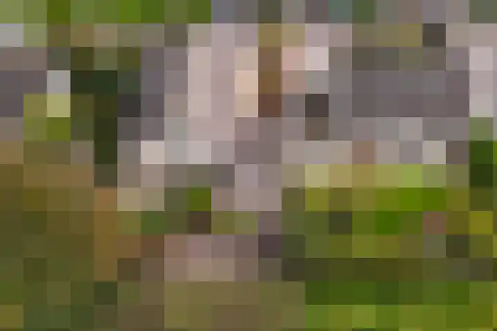 Jamboreelaan 15 Biddinghuizen thumbnail 43