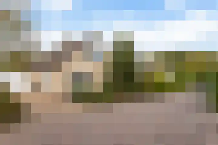 Jamboreelaan 15 Biddinghuizen thumbnail 5