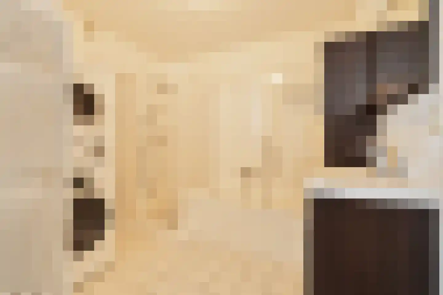 Jamboreelaan 16 Biddinghuizen thumbnail 20