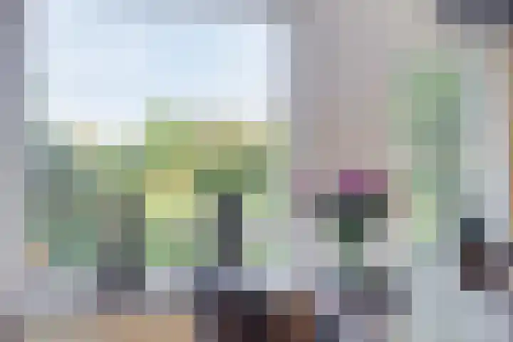 Jamboreelaan 22 Biddinghuizen thumbnail 13