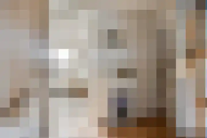 Jamboreelaan 22 Biddinghuizen thumbnail 19