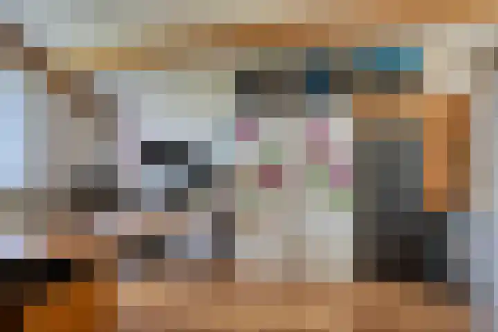 Jamboreelaan 22 Biddinghuizen thumbnail 29