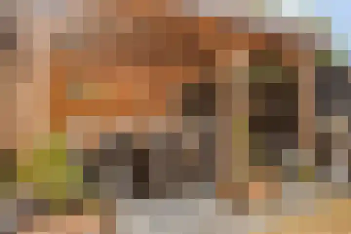 Jamboreelaan 22 Biddinghuizen thumbnail 32