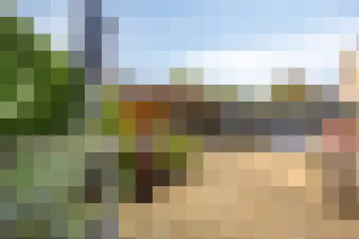 Jamboreelaan 22 Biddinghuizen thumbnail 36