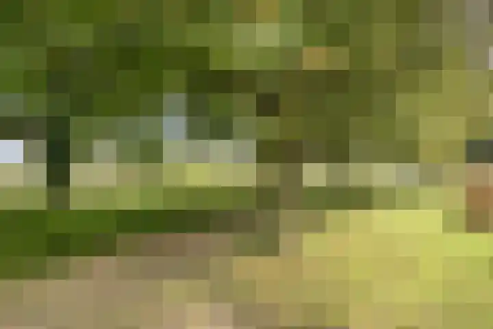 Jamboreelaan 22 Biddinghuizen thumbnail 37