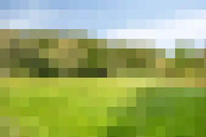 Jamboreelaan 22 Biddinghuizen thumbnail 38
