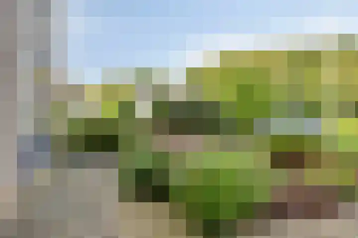Jamboreelaan 22 Biddinghuizen thumbnail 4