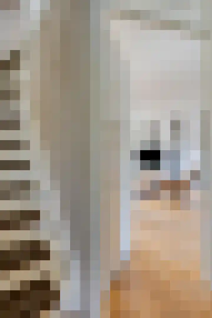 Jamboreelaan 22 Biddinghuizen thumbnail 7