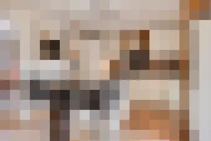 Jamboreelaan 32 Biddinghuizen thumbnail 19