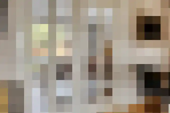Jamboreelaan 32 Biddinghuizen thumbnail 23