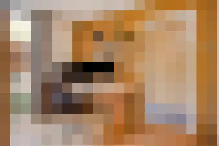 Jamboreelaan 32 Biddinghuizen thumbnail 28