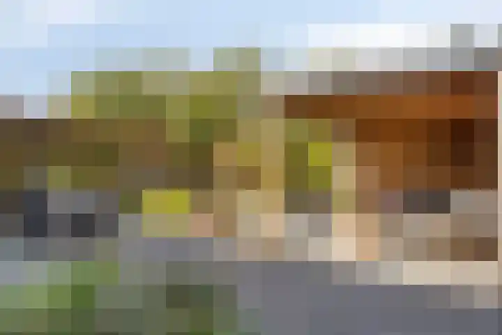 Jamboreelaan 32 Biddinghuizen thumbnail 31