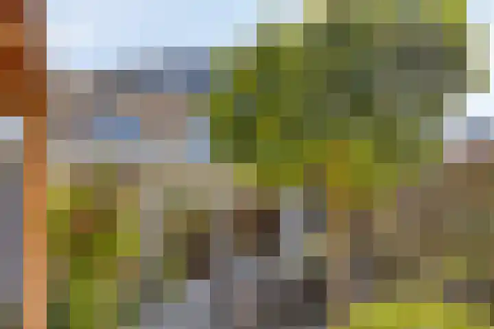 Jamboreelaan 32 Biddinghuizen thumbnail 33